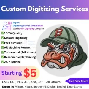 Custom Digitizing Services